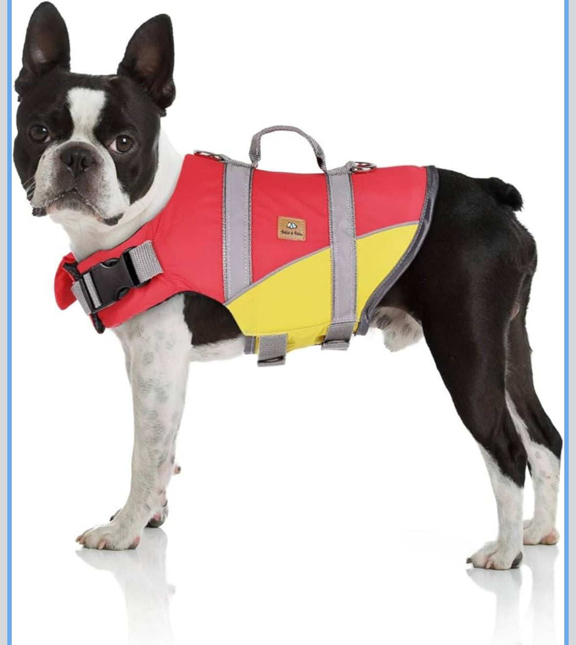 Bella & Balu Schwimmweste für Hunde – Reflektierende Hundeschwimmweste für maximale Sicherheit (Große L)