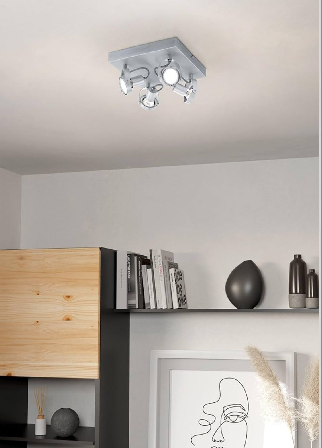 EGLO Deckenstrahler Novorio,Verschiedene Materialien, Silber