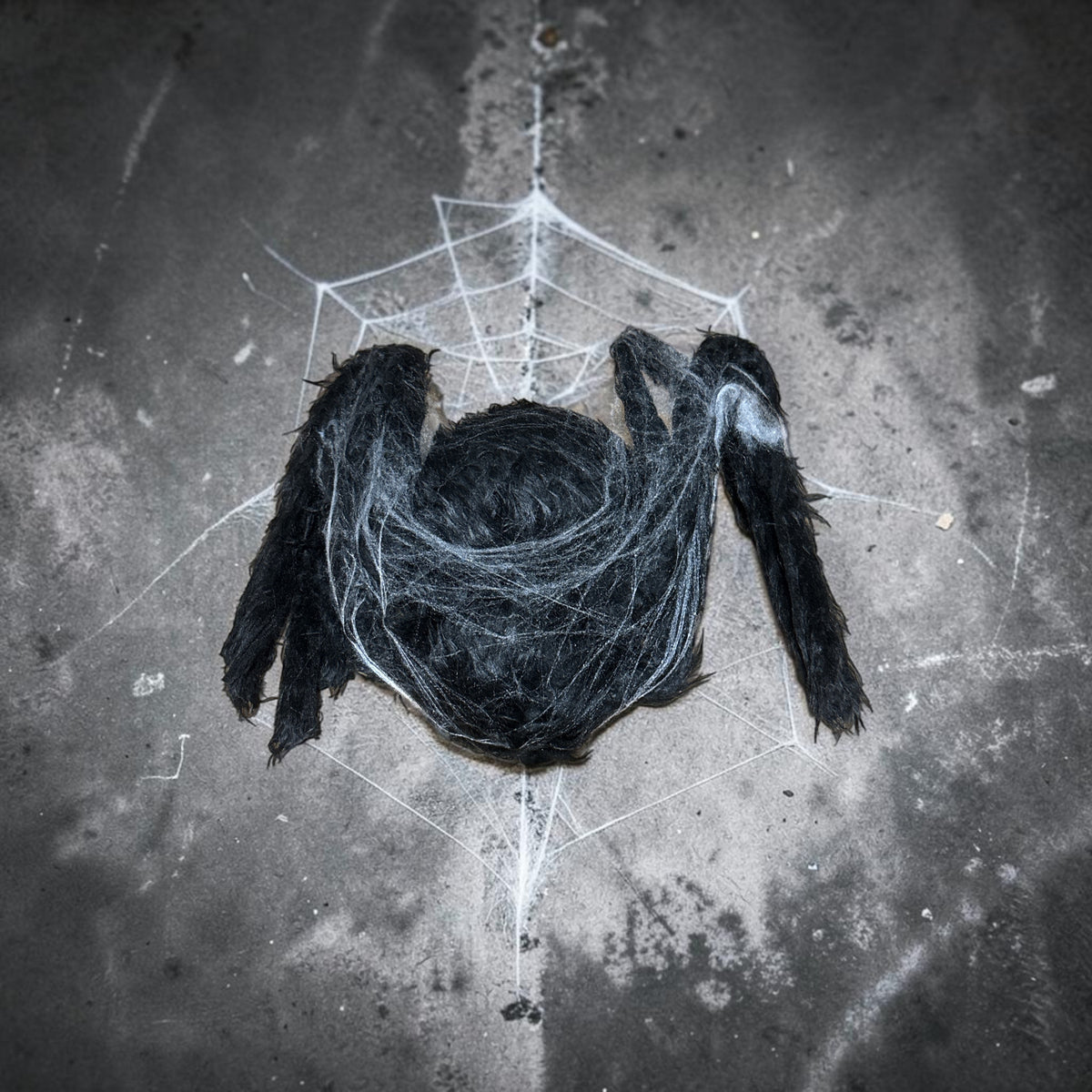 🕷️ Halloween Spinne mit Leuchtaugen & Bewegung – Sound-/Druckknopf-Aktivierung